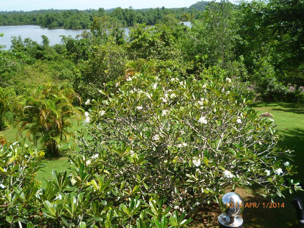 Sobaco Nature Resort Bentota Exterior photo