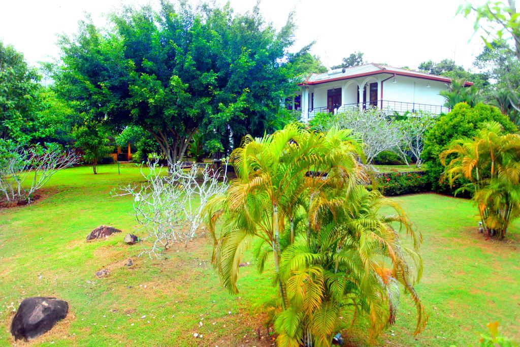 Sobaco Nature Resort Bentota Exterior photo