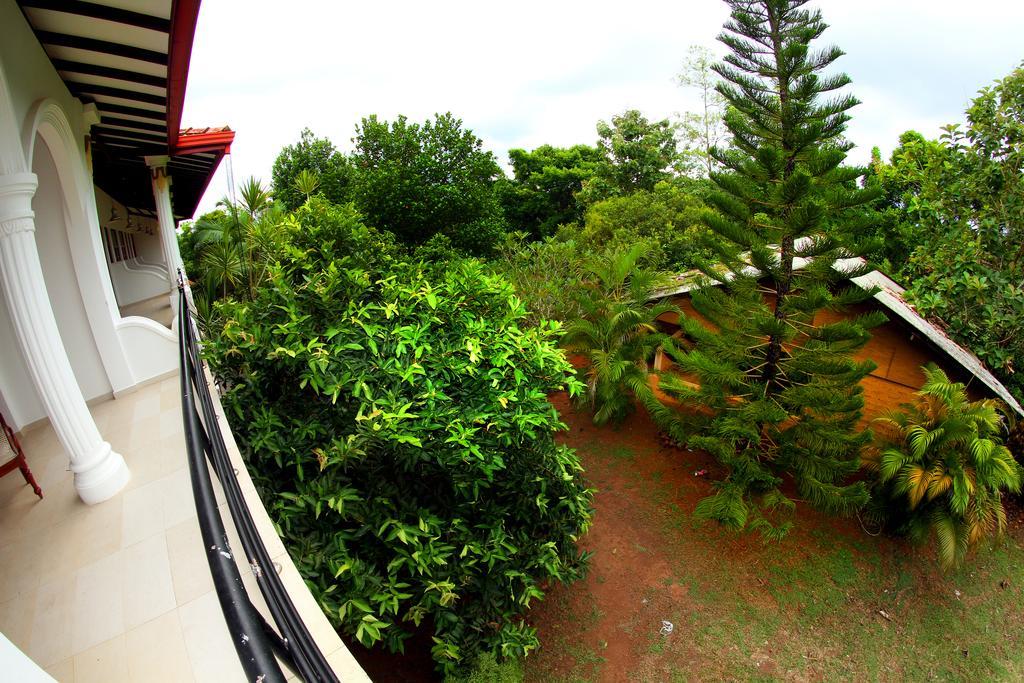 Sobaco Nature Resort Bentota Exterior photo
